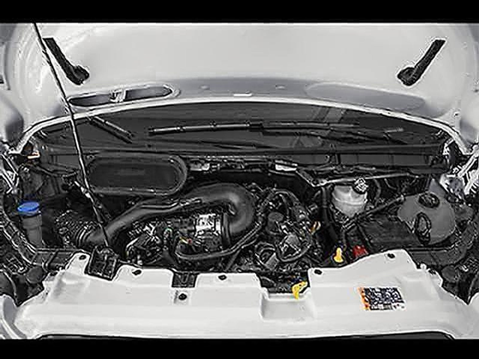 2023 Ford Transit Passenger Wagon XLT